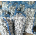 New Crop Pure White Knoblauch